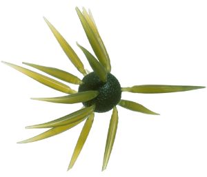 Immagine di Hideup Coike Fish L Elastomer