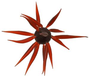 Bild von Hideup Coike Fish L Elastomer