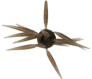 Bild von Hideup Coike Fish L Elastomer