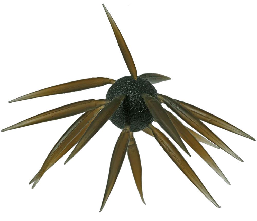 Bild von Hideup Coike Fish L Elastomer