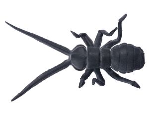 Immagine di O.s.p. Orikanemushi II